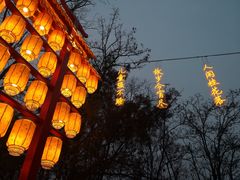 -青龙湖公园
