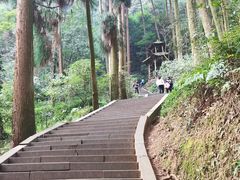 -青城山