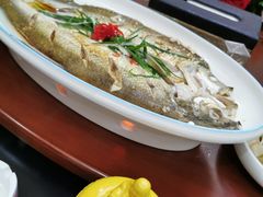 -龙门鱼府(中兴大道同兴街店)