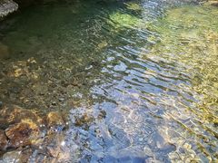 -南海湾森林生态园