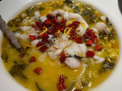 -佬肥猫(七宝宝龙店)