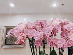 -巴音浩日娲酒楼(双林东路店)