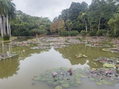 -中国科学院西双版纳热带植物园