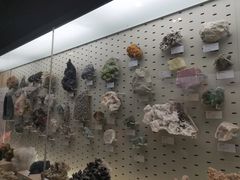 -浙江自然博物院(杭州馆)