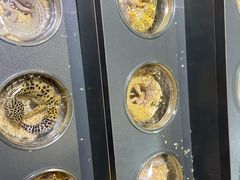 -郑州国际会展中心