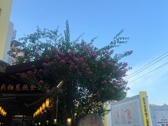 -抱德·潮汕味(敦和店原惠城鱼仔)
