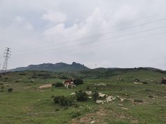 -空中草原