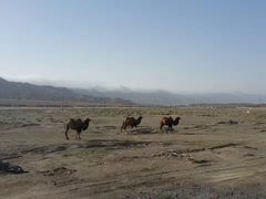 -天山神秘大峡谷