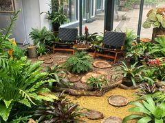 -深圳仙湖植物园