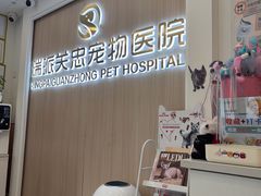 -瑞派·关忠动物医院·猫专科·犬专科(三环新城店)