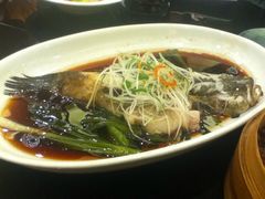 左口鱼-新南华大酒店(广中店)
