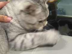 -小时光咖啡馆(开森度假森林店)