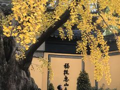 -无锡惠山寺