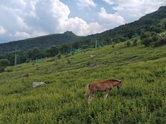 -灵山