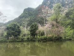 -明仕田园