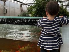 -菊园百果园