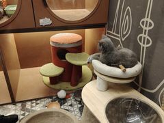 -野人串吧(太原街步行街店)