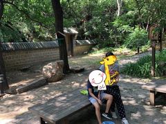 -云峰山自然风景区