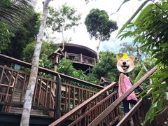 -三亚亚龙湾人间天堂鸟巢度假村