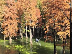 -青山湖景区