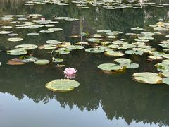 -中国宣纸文化园