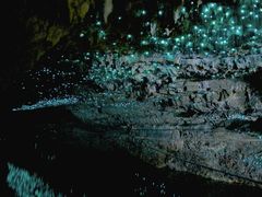 -怀托摩萤火虫洞