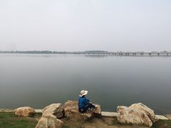 -丁香湖公园