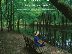 -上海共青森林公园