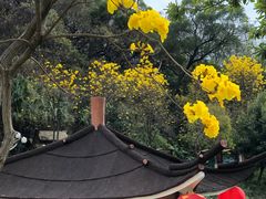 -广州莲花山旅游区