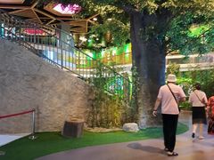 -黄海国家森林公园