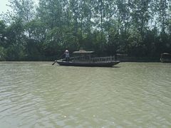 -溱湖国家湿地公园