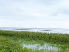 -合肥滨湖国家森林公园