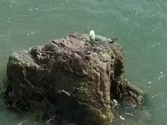 -海驴岛(荣成市)