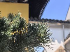-西园戒幢律寺