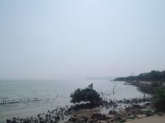 -深圳湾公园(南山区)