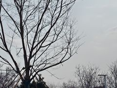 -武汉紫薇都市田园
