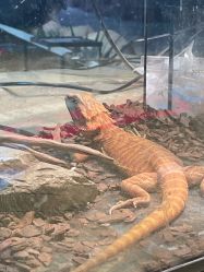 -酷嗒动物文化乐园(cutezoo西溪乐天城店)