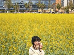-光明小镇欢乐田园