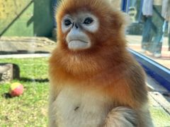 -大连森林动物园