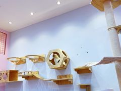 -爪爪喵星球·猫舍(前海卓越店)