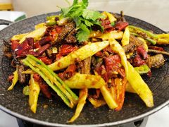 -陈麻婆豆腐总店