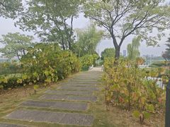 -金银湖国家城市湿地公园