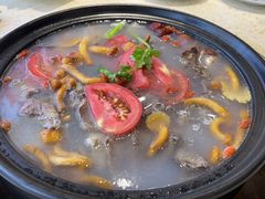 -九寨特色牦牛肉汤锅 羊肉汤锅