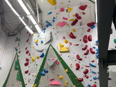 -绿壁虎攀岩基地(Tcar店)
