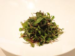 -丽景华侨酒店-渔味小厨