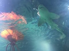 -沈阳海洋探索中心