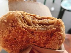 素烧饼-李小老烧饼(常营民族家园店)