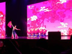 -小荧星艺校(大宁分校)