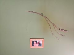-丰一(武昌店)