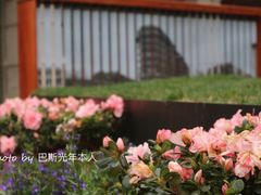 -星巴克(武康路店)